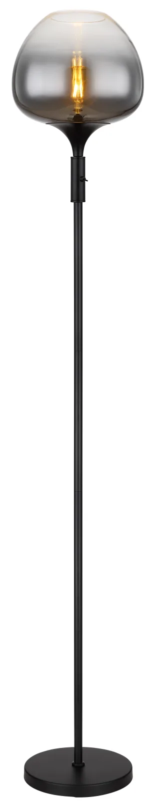 MAXY 2