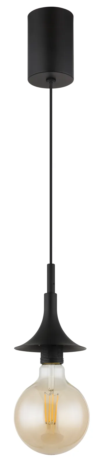 MAXY 2