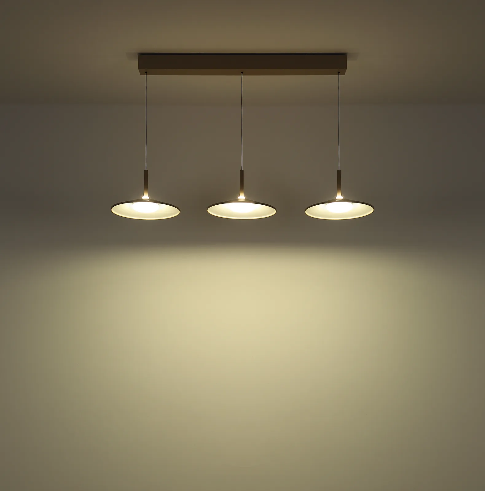 LAMPONE 8