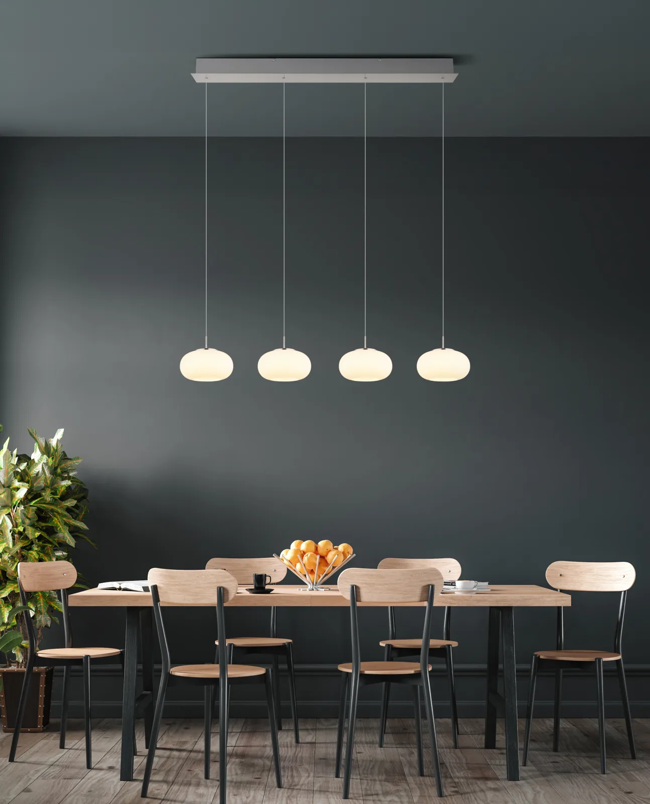 QUINTARA 8