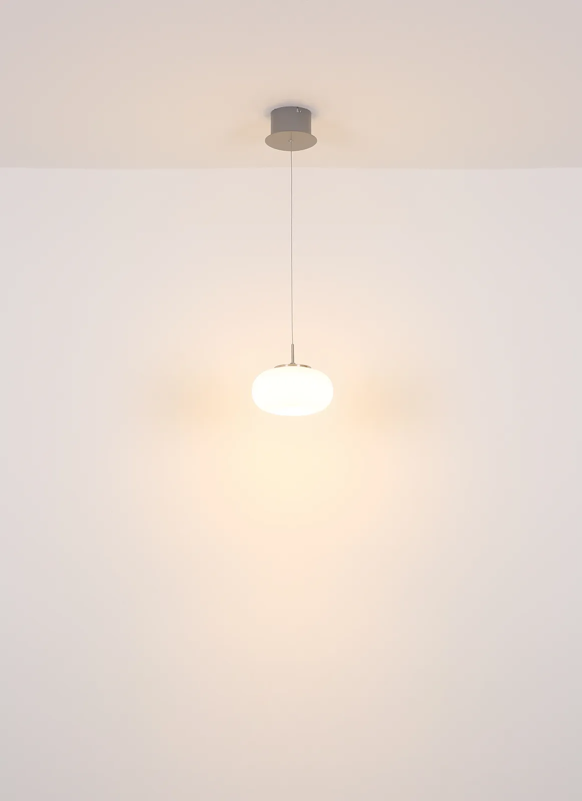 QUINTARA 8