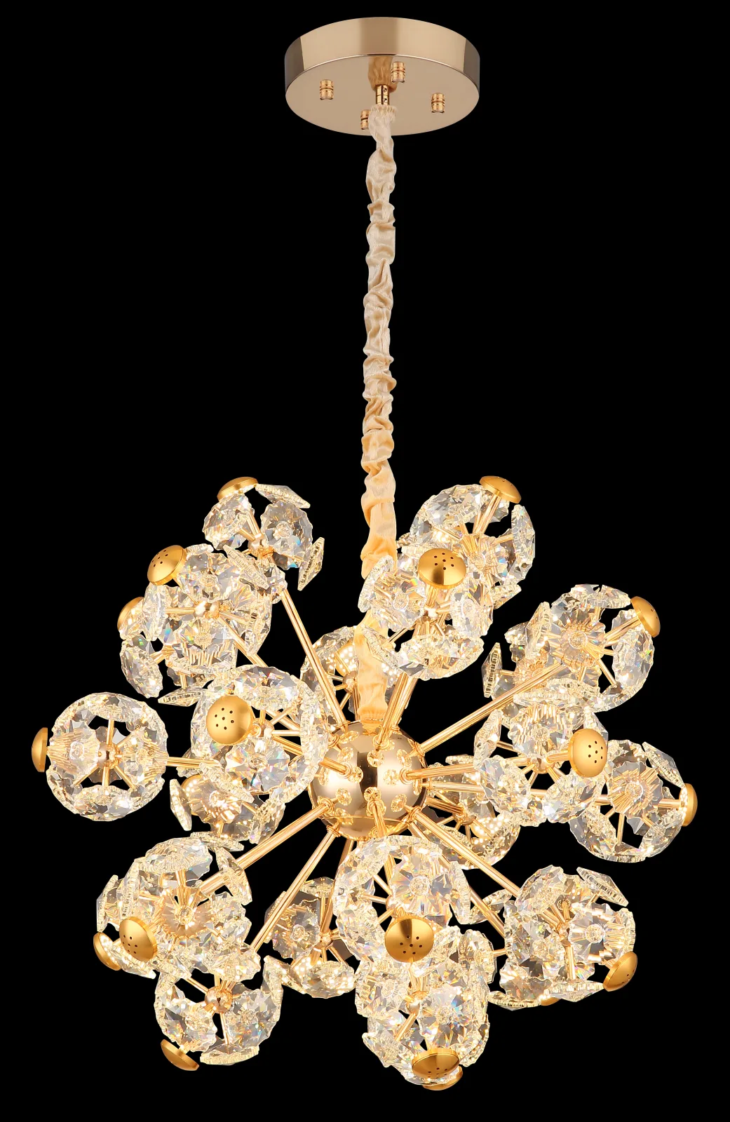 FLORIELLA 6