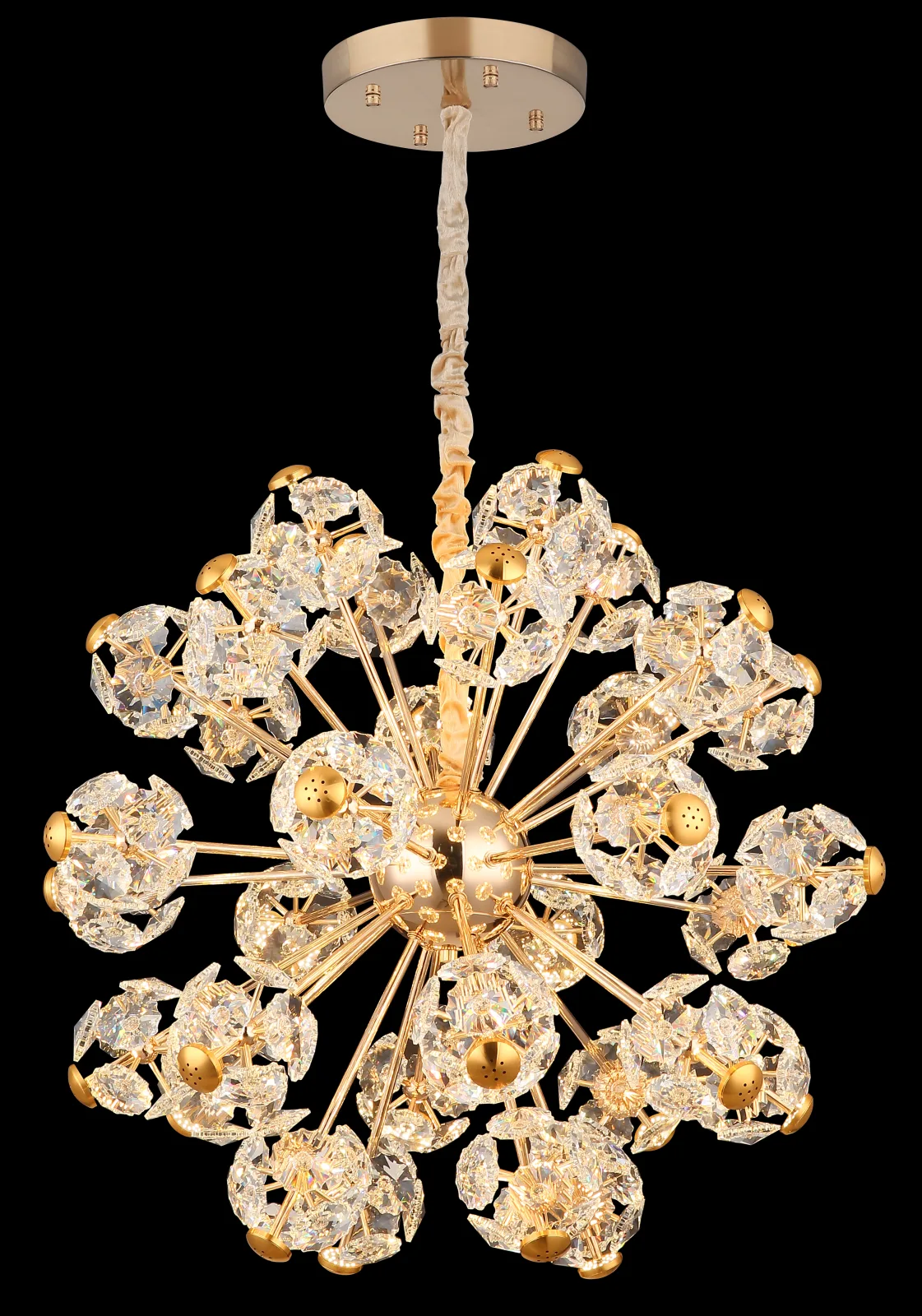FLORIELLA 6