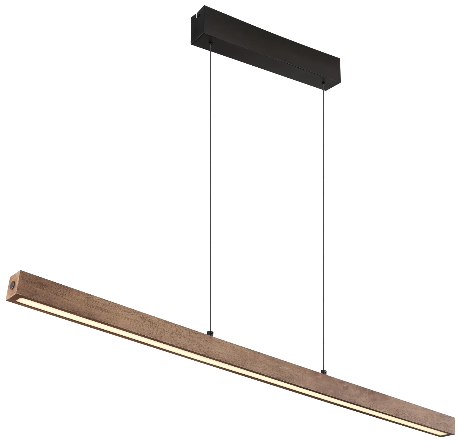 OLIVUS 2