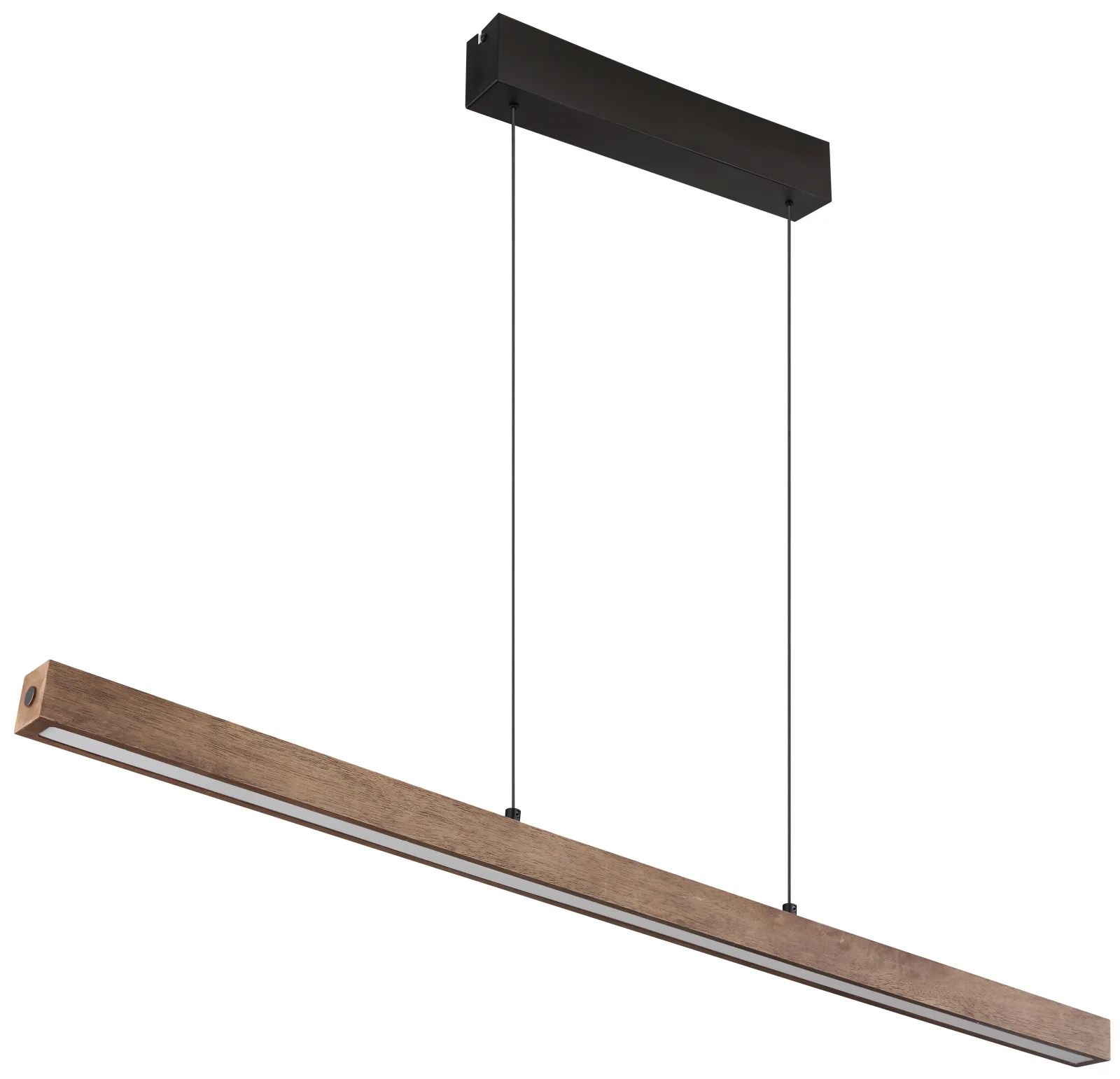 OLIVUS 3