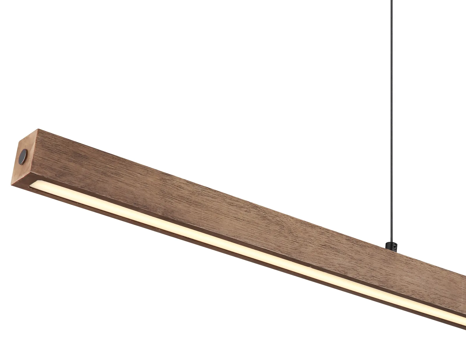 OLIVUS 5