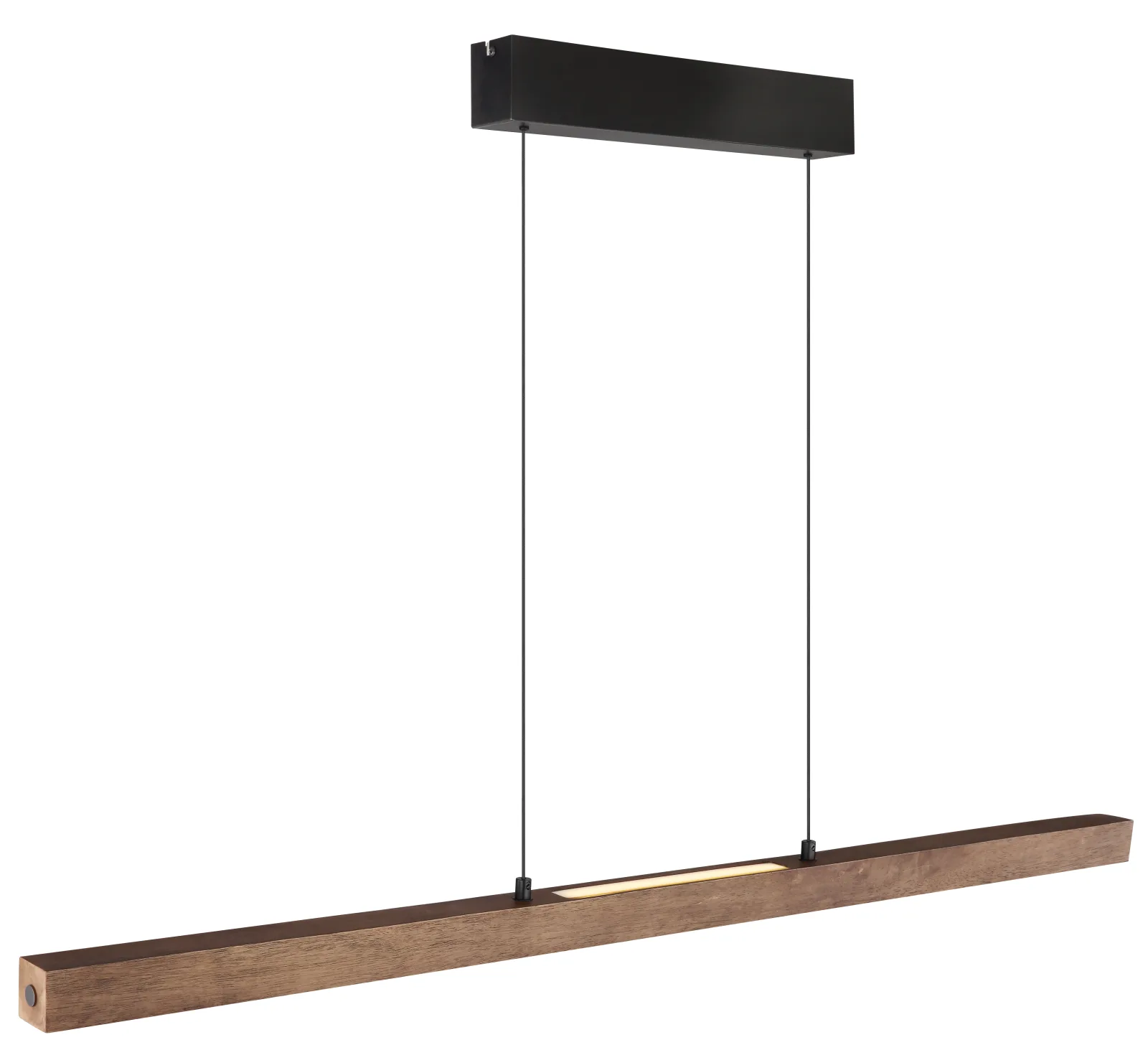 OLIVUS 6