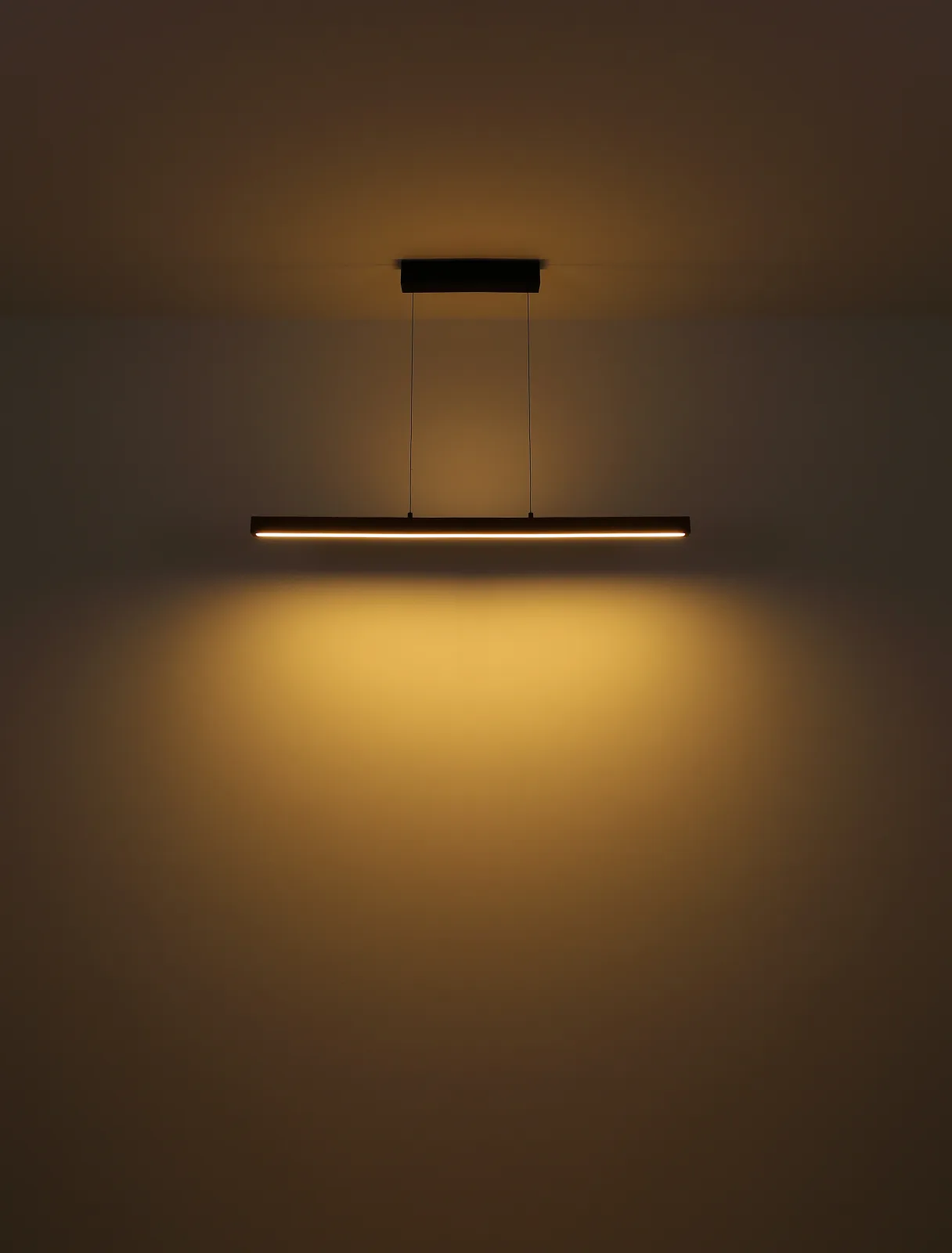 OLIVUS 7