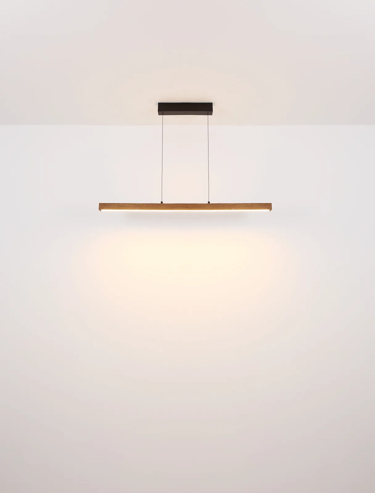 OLIVUS 8