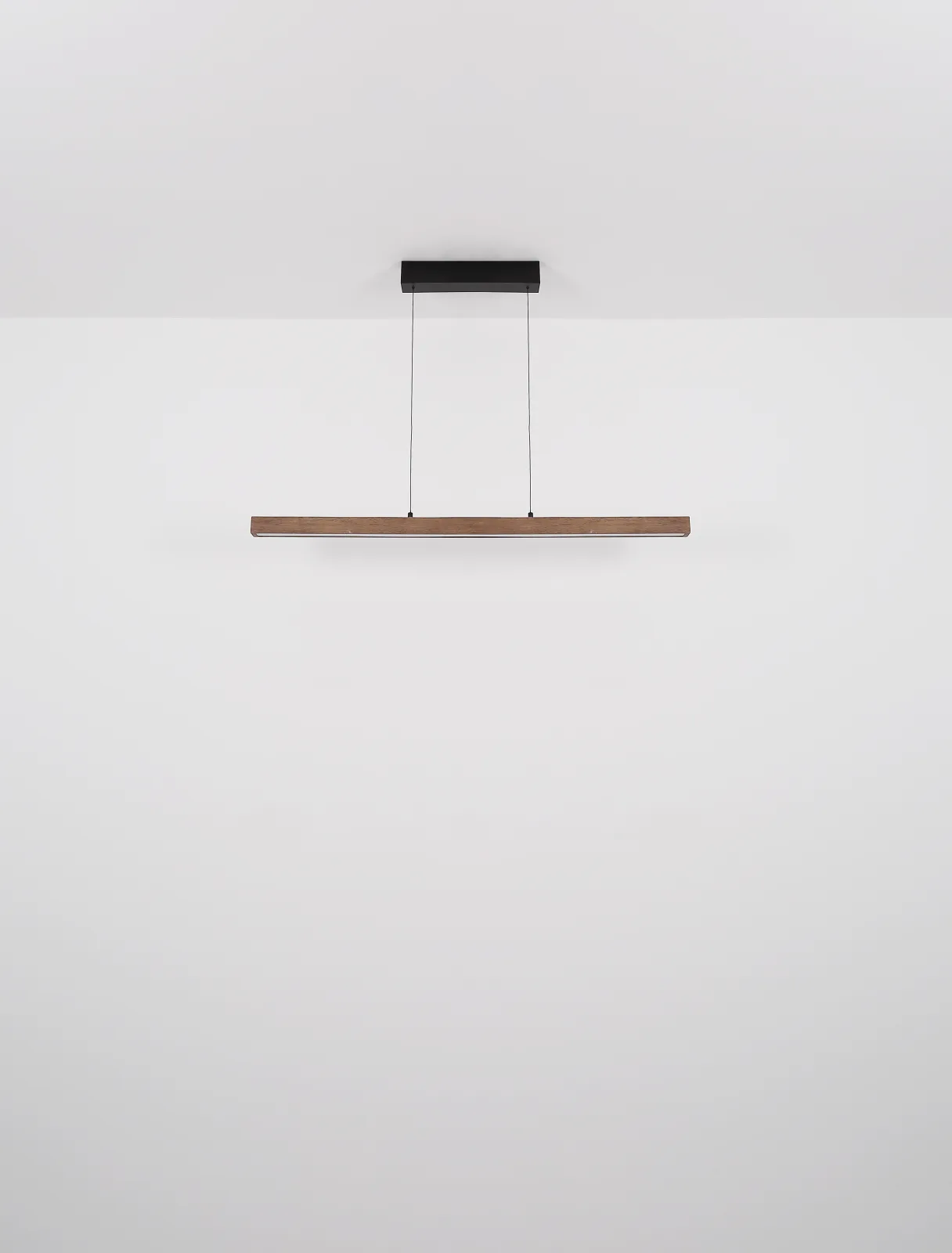 OLIVUS 9