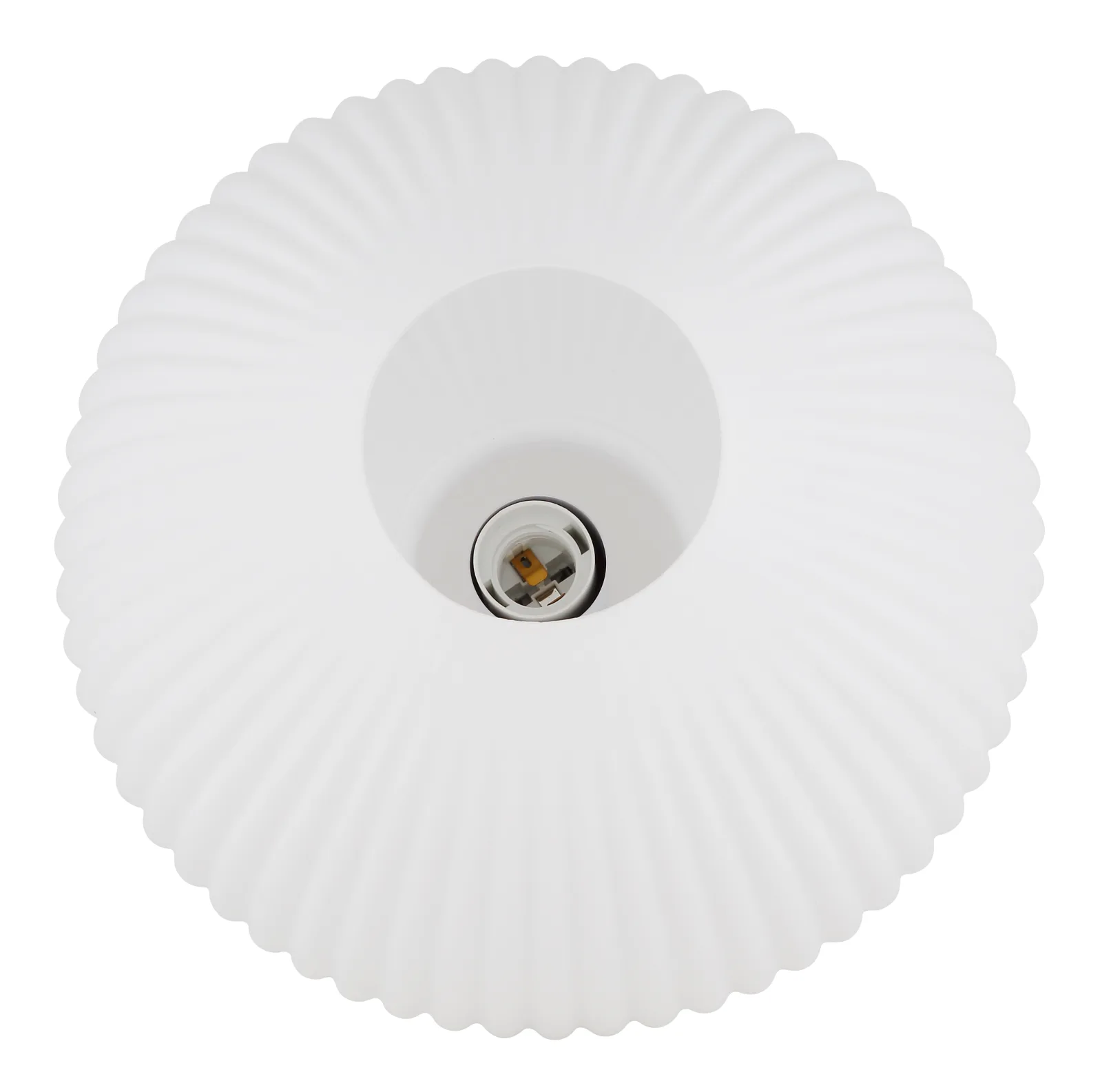 SHROOMA 7