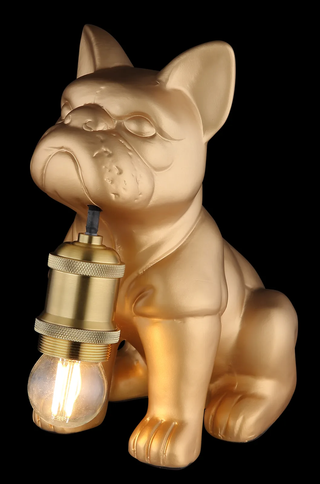 DOGO 6