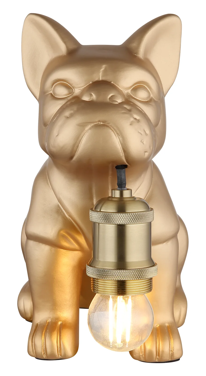 DOGO 4