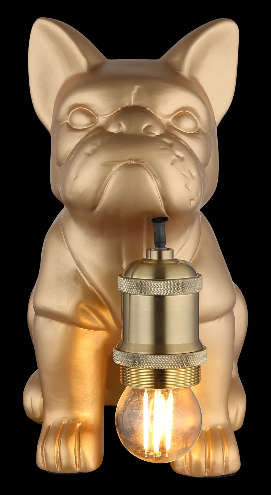 DOGO 7