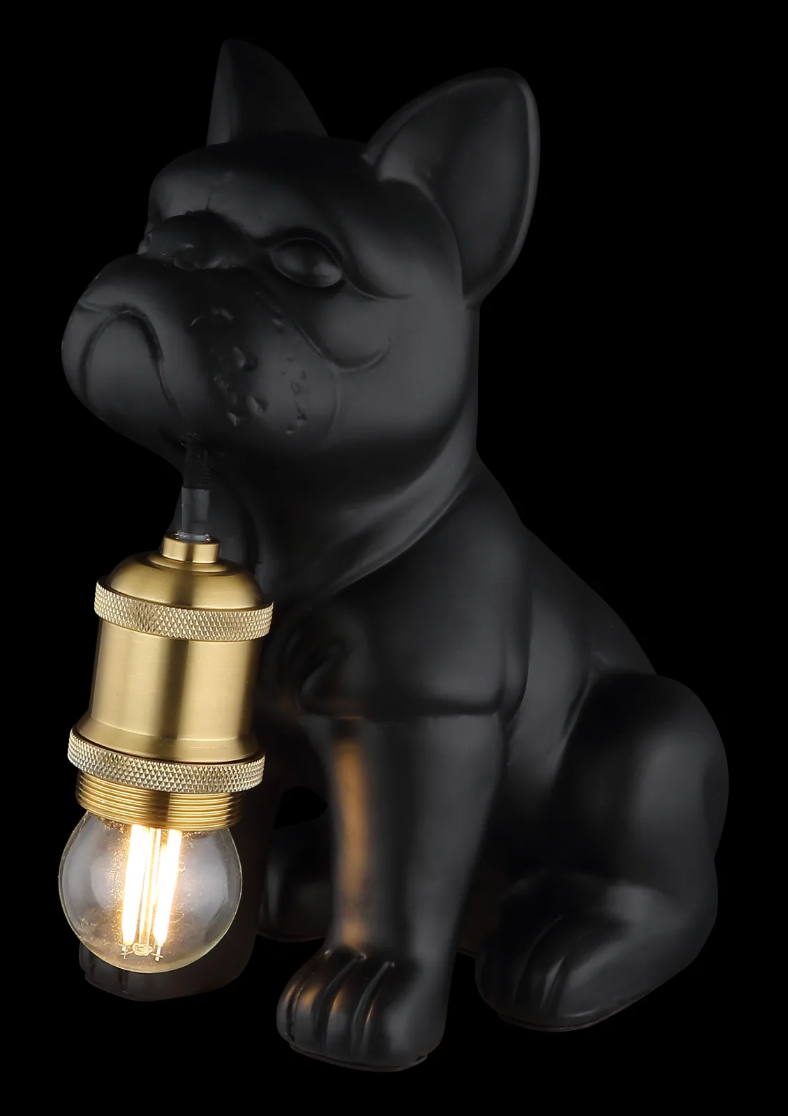 DOGO 6