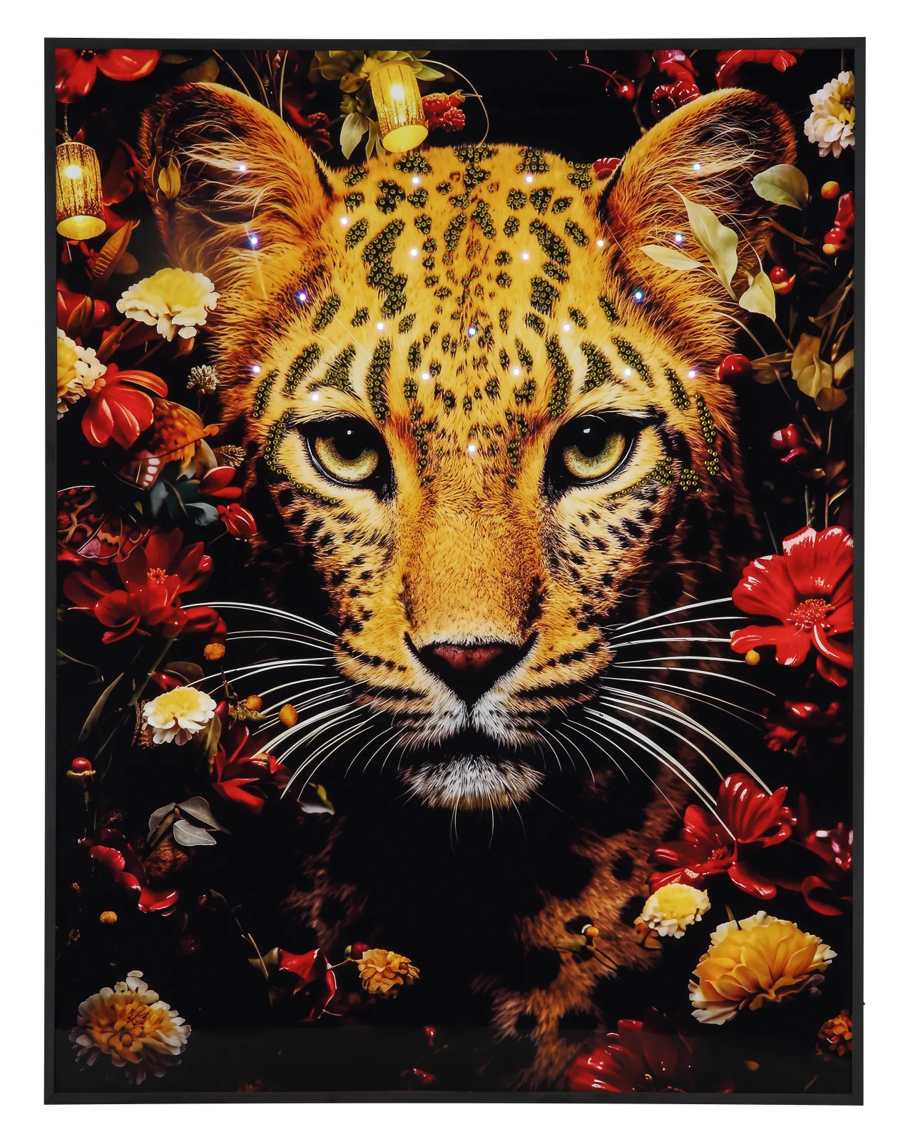 JARANA 4