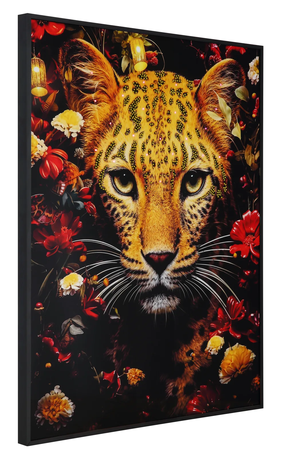 JARANA 6