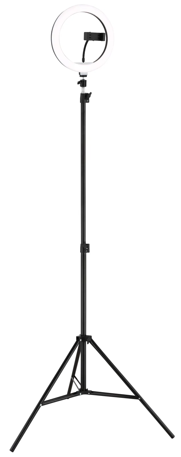 DELGADO 2