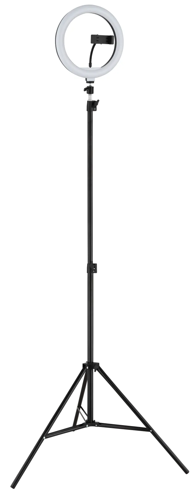 DELGADO 3