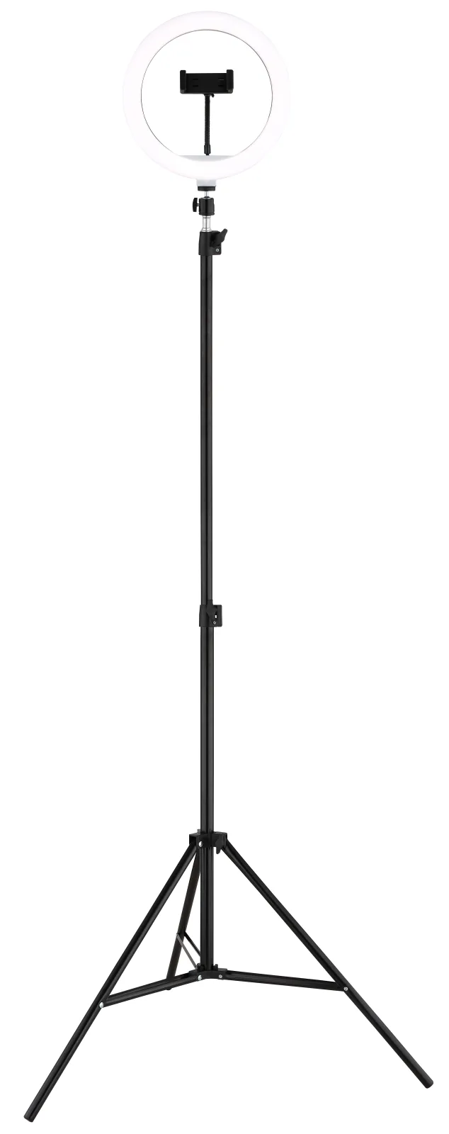 DELGADO 4