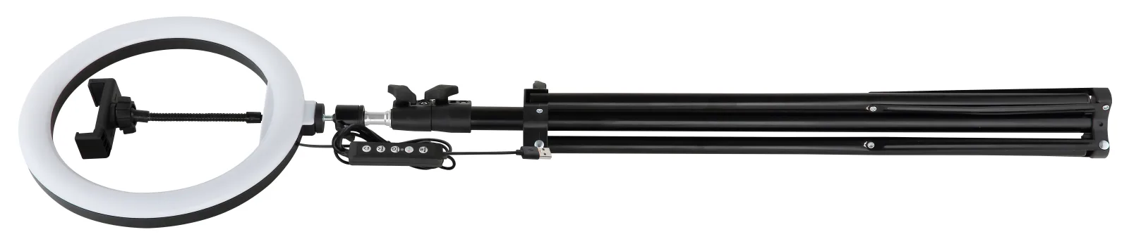 DELGADO 9