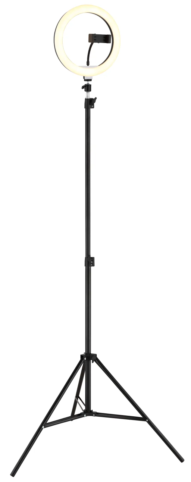 DELGADO 6