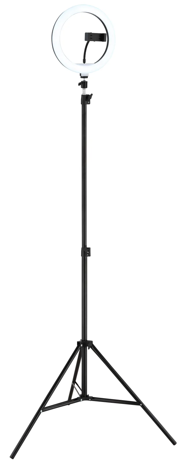 DELGADO 7
