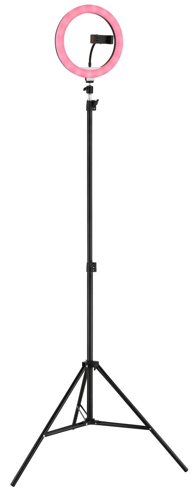 DELGADO 10