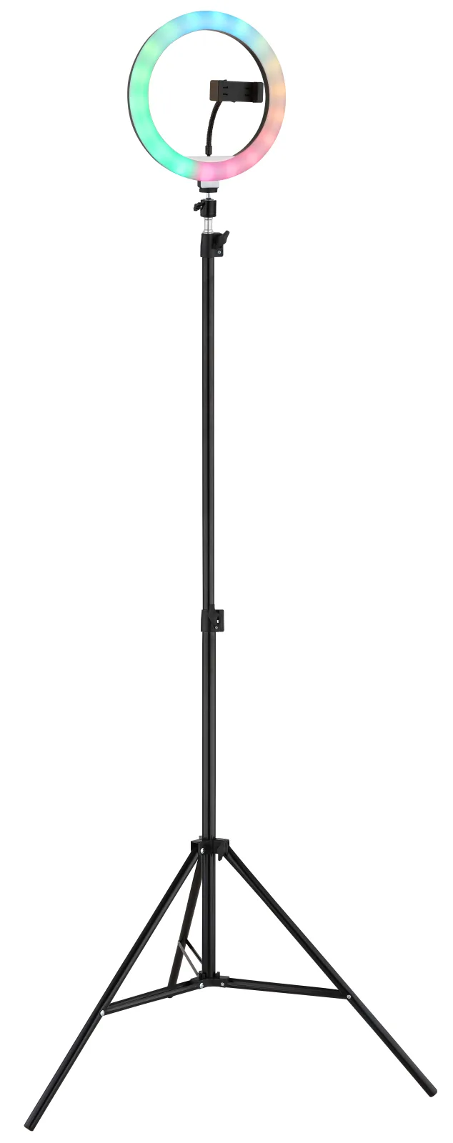 DELGADO 13