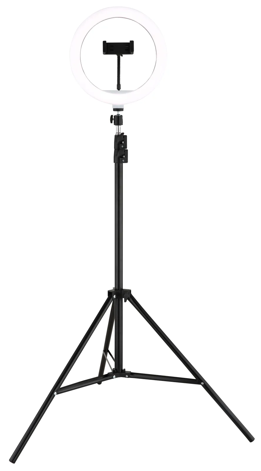 DELGADO 14