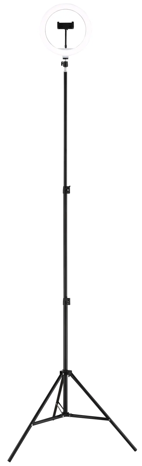 DELGADO 15
