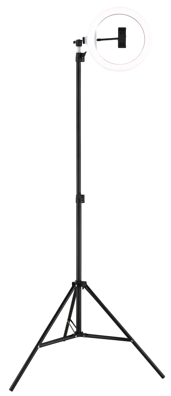 DELGADO 16