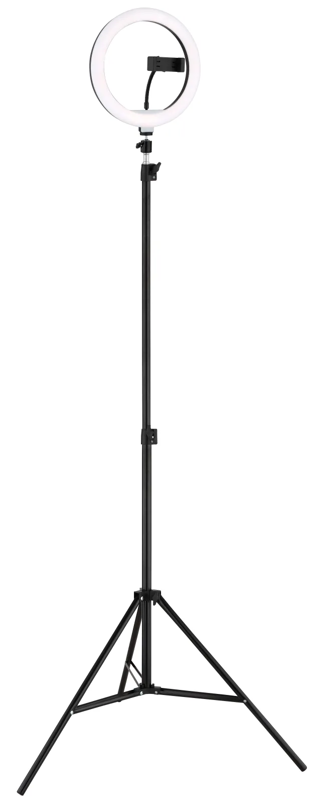 DELGADO 19