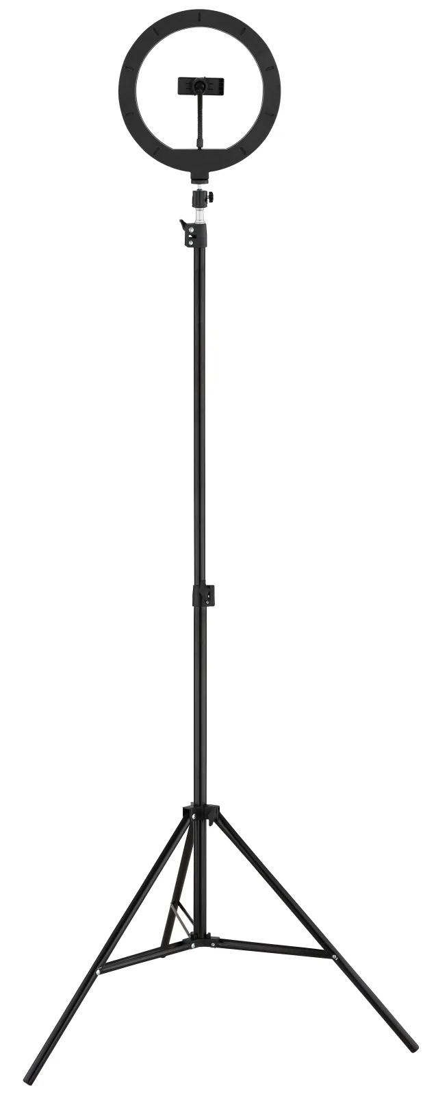 DELGADO 17