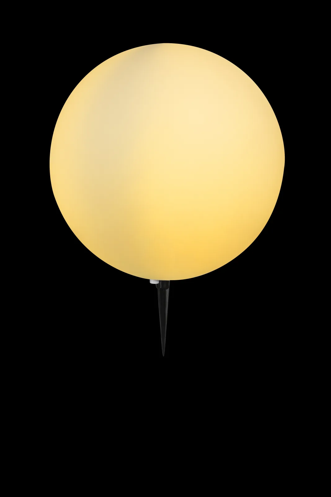 TOULA 11