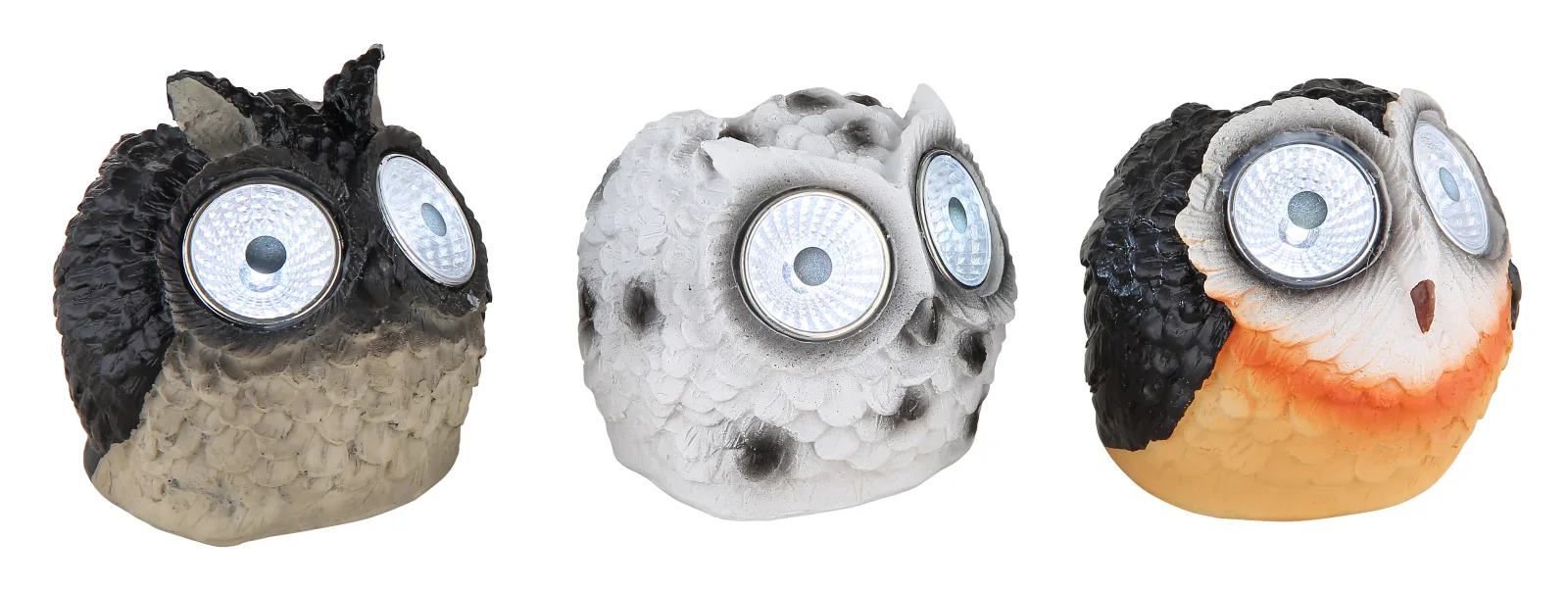 OWLY