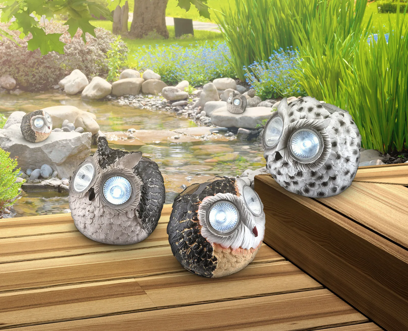 OWLY 10