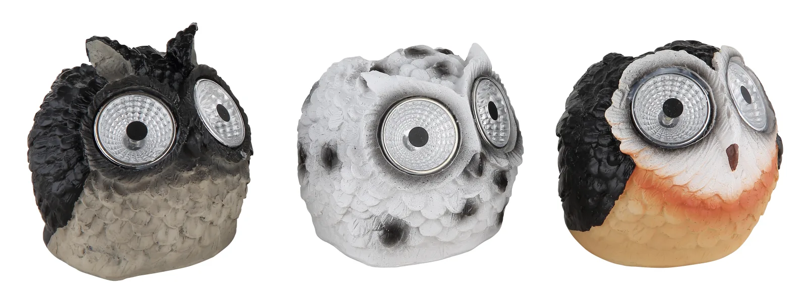 OWLY 2
