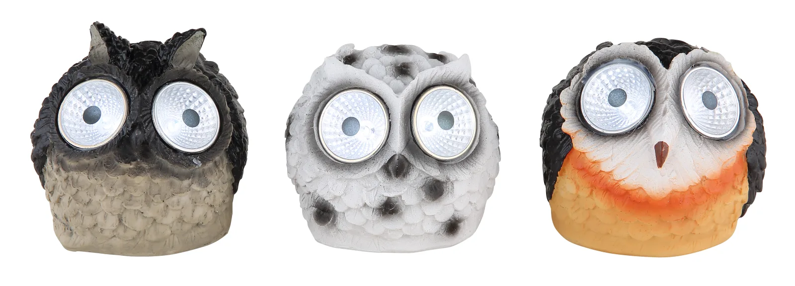 OWLY 3