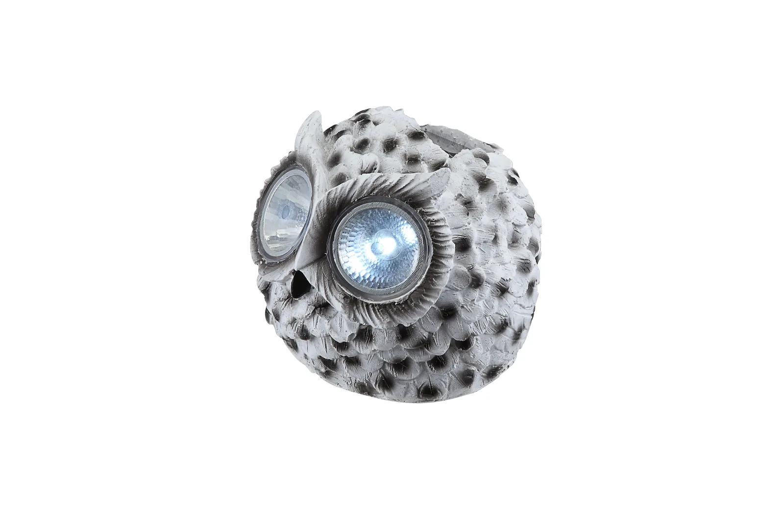 OWLY 4