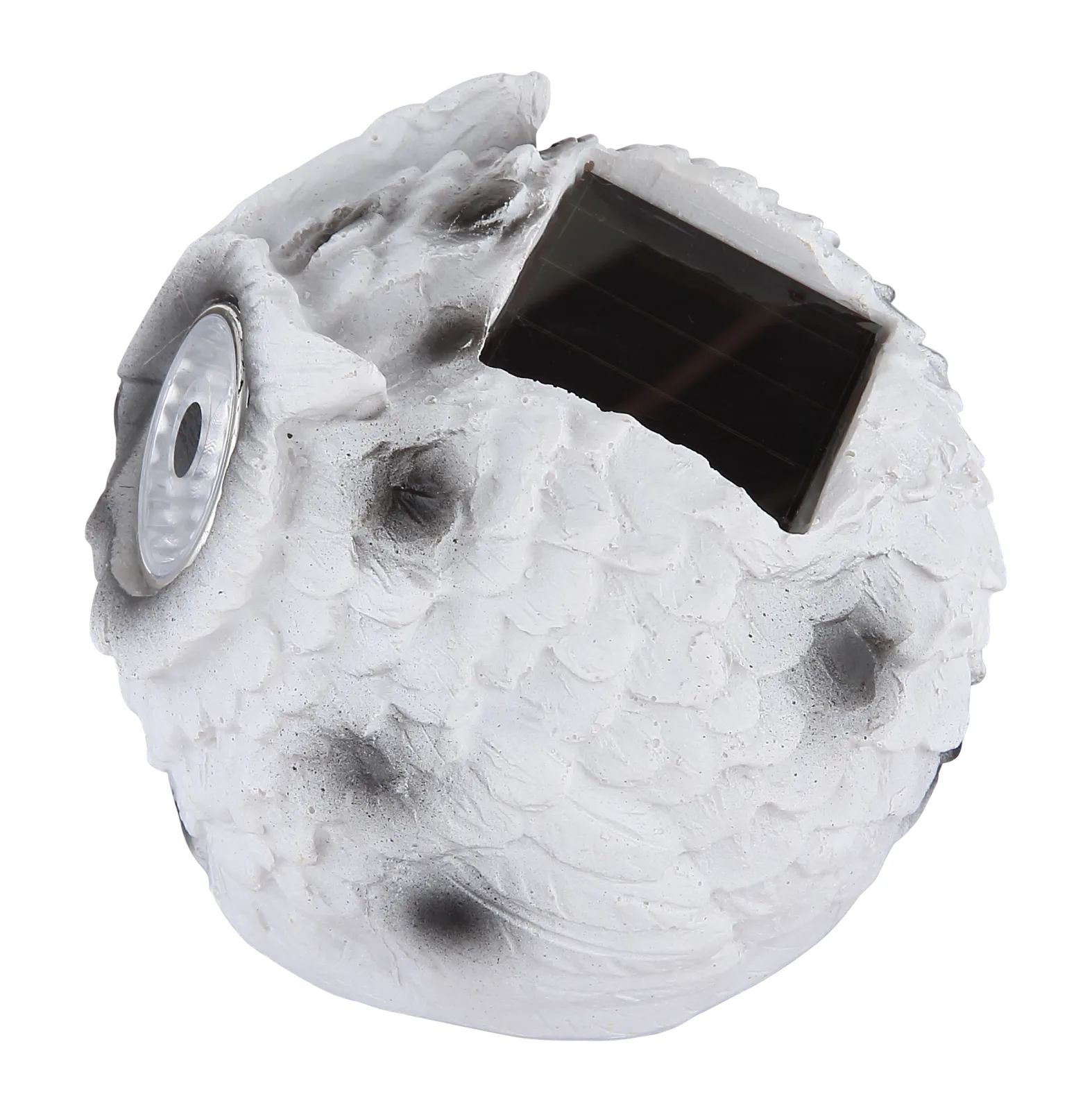 OWLY 5