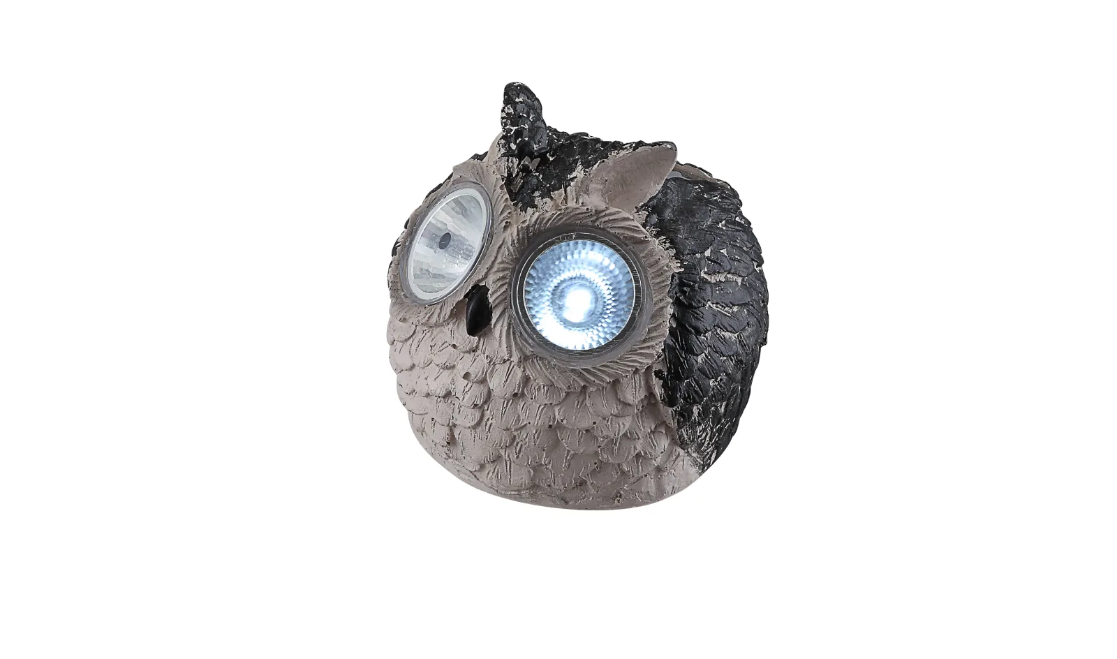 OWLY 6