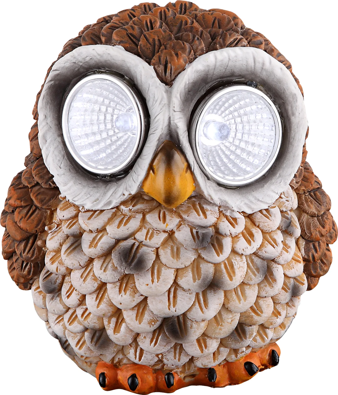 OWLY