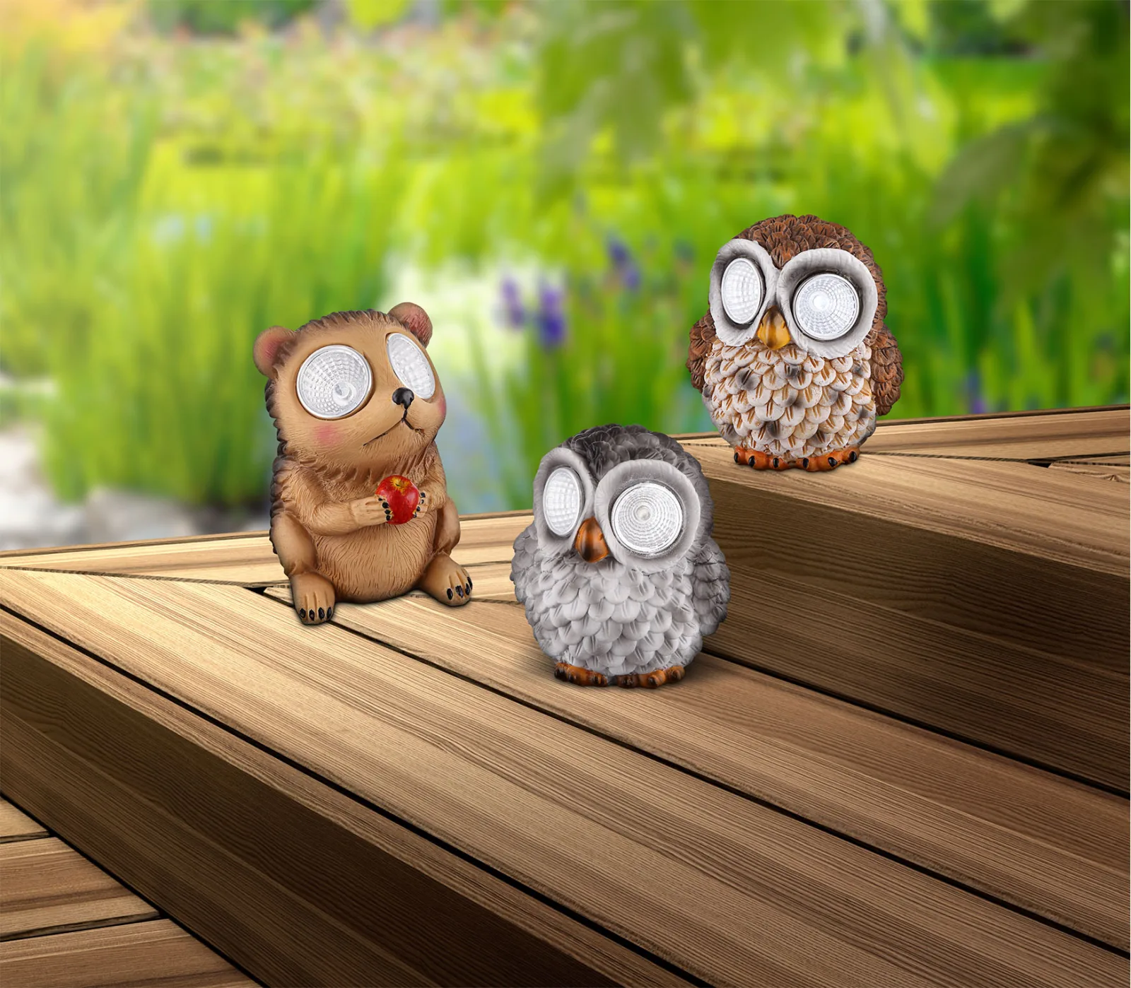 OWLY 8