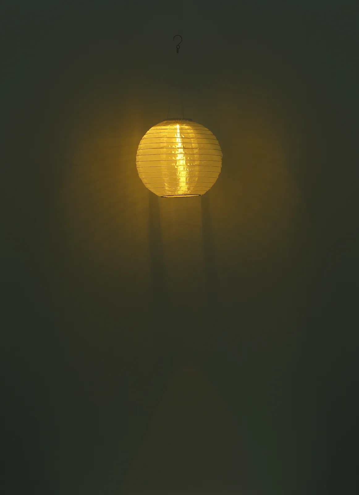 XARTI 7