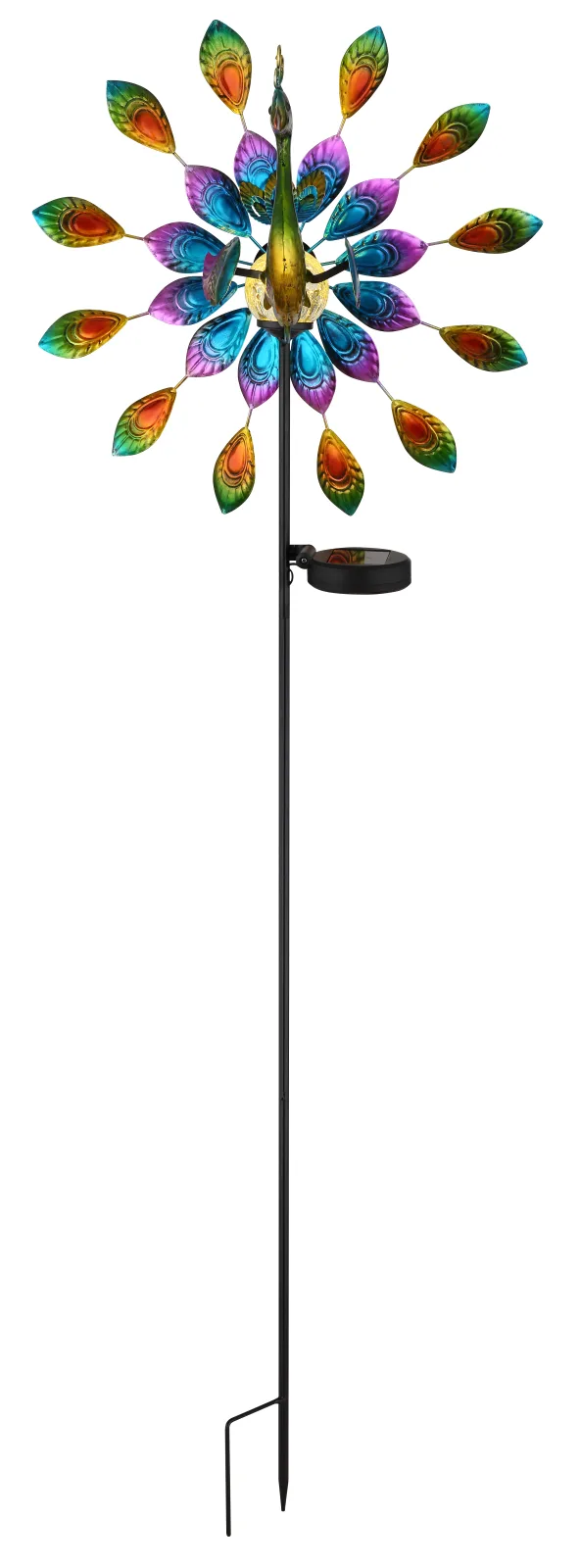 PAGONI 4