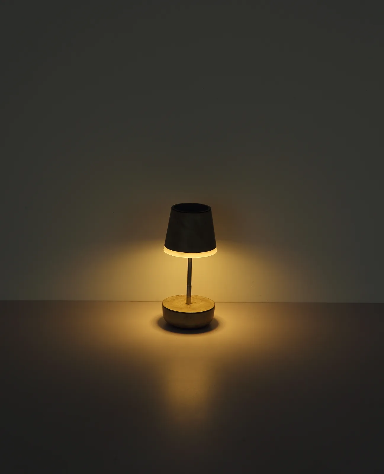 FELINA 8
