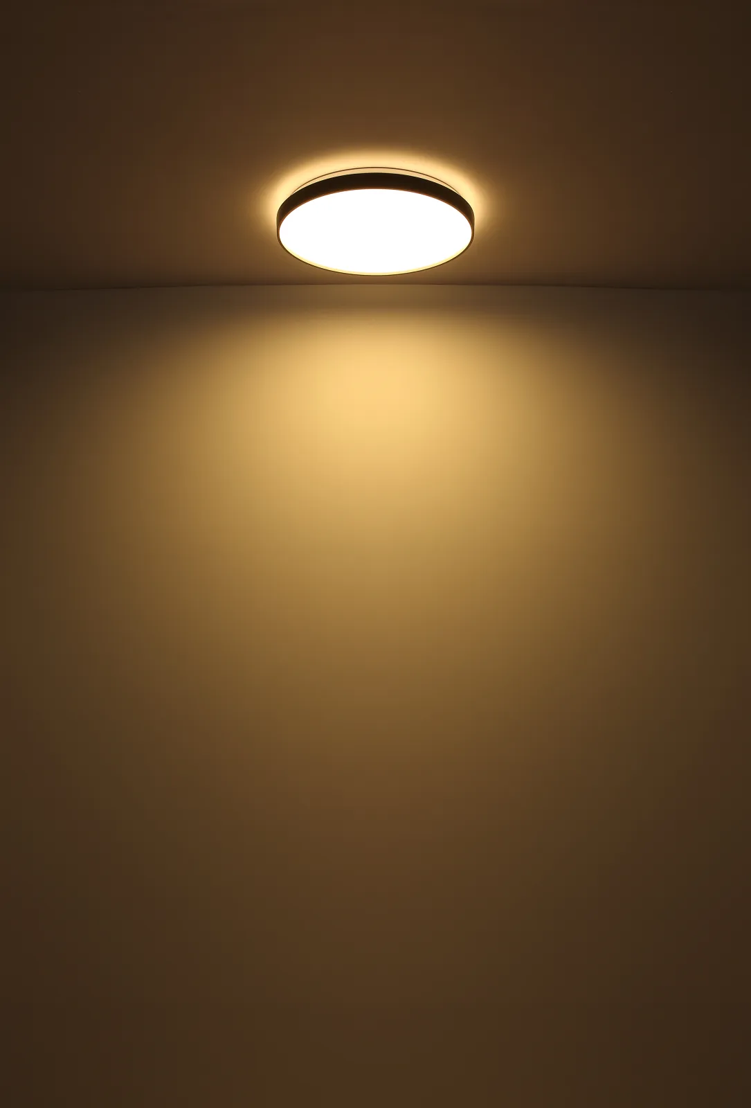 ECLYPSE 4