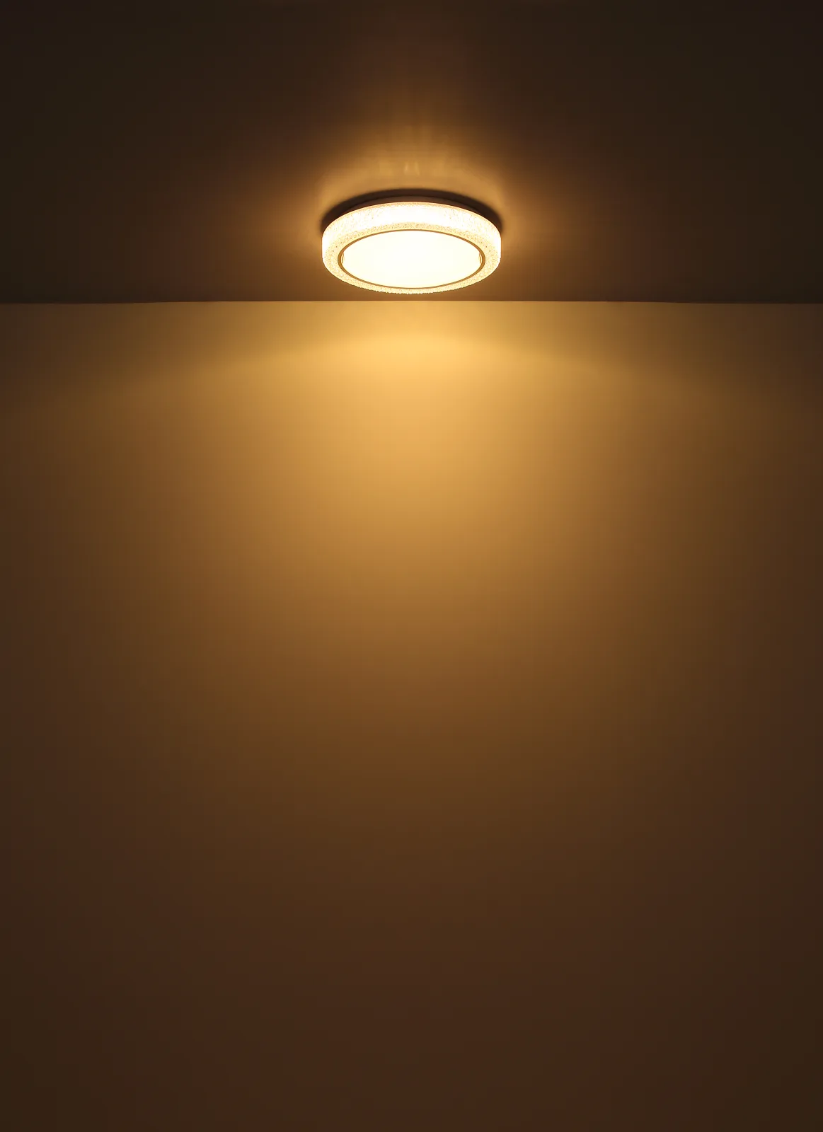 LIAMI 7