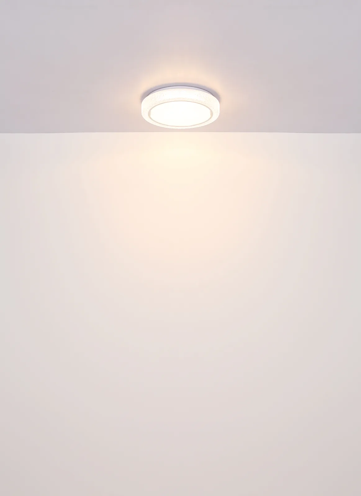 LIAMI 8